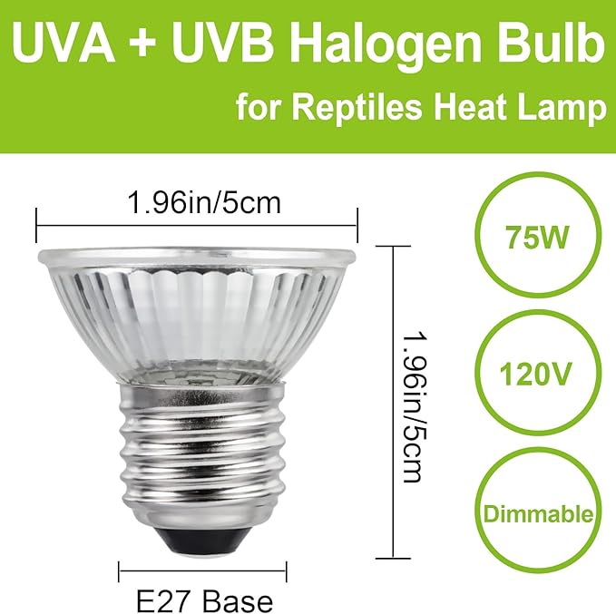UVB UVA Reptile Light Bulb 75W Bulb for Reptiles and Amphibians Use for Turtle, Bearded Dragon, Lizard Cages Heat Lamp Replacement Bulb, Pack of 6