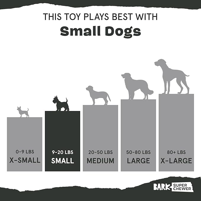 Barkbox Cherry Blasto Pop Dog Toy | Durable Nylon Popsicle Chew Toy for Aggressive Chewers | Dog Toys for Small Dogs, Puppy Teething Toys & Summer Fun