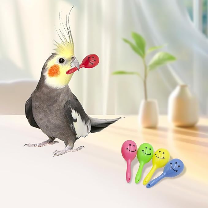 4-in-1 Bird Activity Set – Mini Skateboard, Stacking Rings, Rattle & Colorful Peg Toy | Interactive Toys for Budgies, Cockatiels, Lovebirds & Small Parrots
