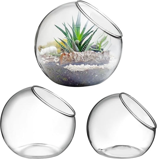 Toyvian 3pcs Terrarium Glass Bowls for Air Plants for Hydroponics Miniature Garden Desktop Containers for Home Office for Bromeliads