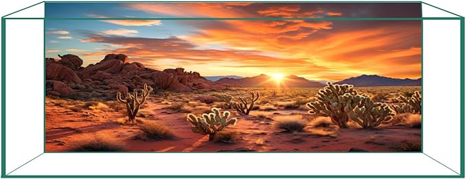 Aquarium Background & Terrarium Background – Ultra HD Static Cling, Tape-Free, Desert Sunset Design for Reptile Tank Decorations, Perfect for Bearded Dragon and Leopard Gecko Tanks 19.6 X 59 Inches