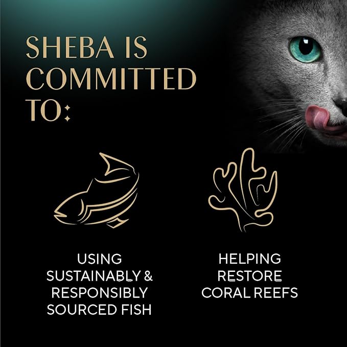 Sheba Perfect Portions Wet Cat Food Pate with Sustainable Salmon, Signature Seafood Entree, and Tender Whitefish and Tuna Entree Variety Pack, 2.6 oz. Twin Pack Trays (24 Count, 48 Servings)