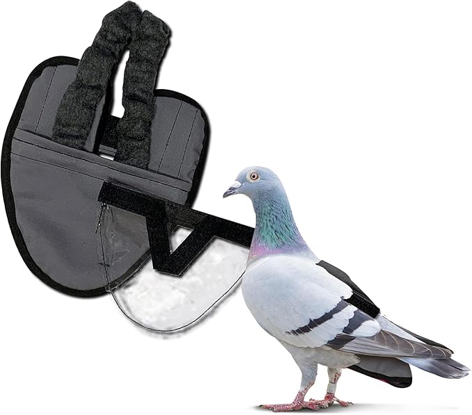 Hen Holster Wrap-Around Bird Diaper & Harness for Larger Pigeons, Small Breed - with Removable Liner, Adjustable Fit for Outdoor Adventures & Indoor Use, Easy to wear - Gray, XS
