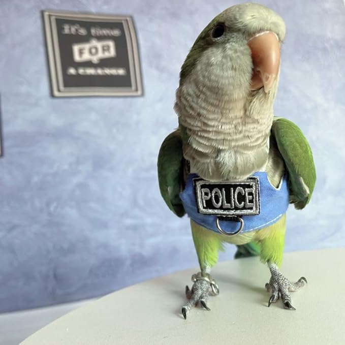 Bird Flight Harness Vest, Parrot Flight Suit with Leash, Bird Flying Clothes with Rope and Handle for Outdoor Activities (with Leash,Caique)