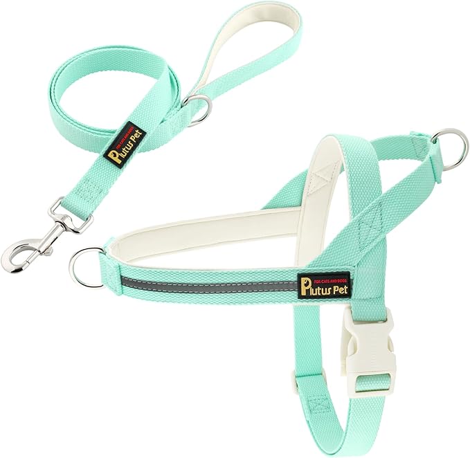 Plutus Pet Cotton Dog Harness and Leash Set, Reflective and Soft Padded, Quick Fit Vest Harness, for Small, Medium and Large Dogs, Light Cyan, XS