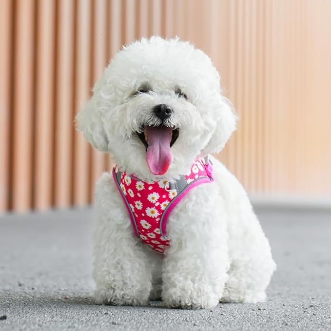 Step in Dog Harness and Leash Set, Flower Adjustable Easy Walk Puppy Harnesses, Soft Mesh Pet Vest Harness Small Size Dog Adjustable No Pull Dog Harness for Small Medium Dogs(Rose red, XXS)