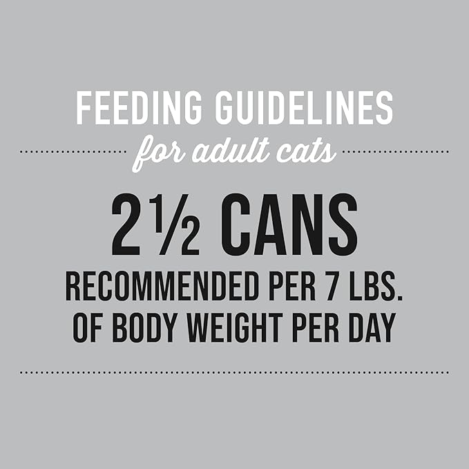 Tiki Cat Silver Comfort Shreds, Chicken Recipe in Chicken Broth, Immune System Support Formulated for Older Cats Aged 11+, Senior Wet Cat Food, 2.4 oz Cans (Pack of 12)