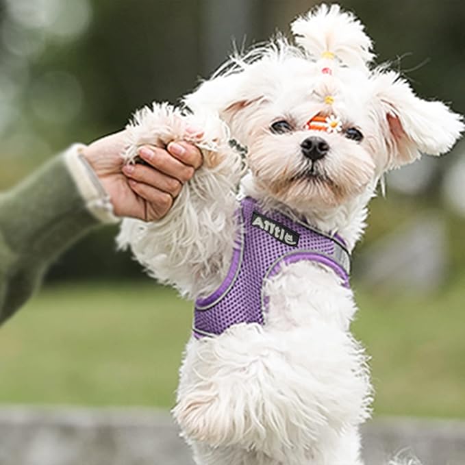 AIITLE Escape Proof Dog Harness - Step in Adjustable Dog Harness No Choke Over with Breathable Mesh and Quick-Release Buckle for Summer- Outdoor Walking, Camping, Training for Medium Dogs Purple XL