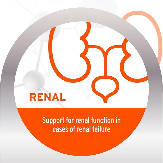 Forza10 Renal Cat Food - 0.88 Pounds, Kidney Care Cat Food Dry Formula with Fish Protein & Cranberry for Kidney Support, Limited Ingredient Formula for Adult Cats with Renal Needs, Fish Flavor