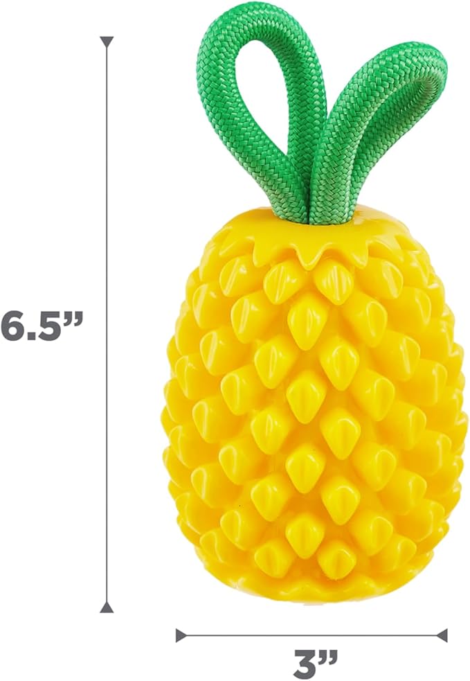 Outward Hound by Planet Dog Dental Pineapple Dental Chew Toy and Interactive Treat Stuffer Durable Dog Toy Stuffable Dog Toy, Yellow