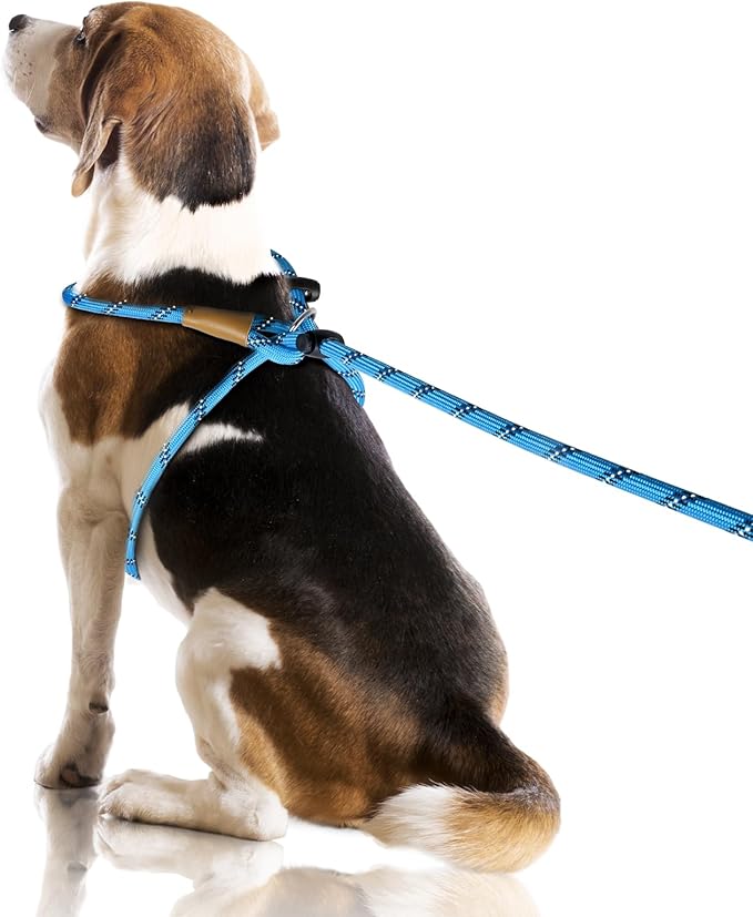 Lynxking No Pull Rope Dog Harness No Pull Reflective Leash Harness Collar 3 in 1 Dog Halter Harnesses Adjustable for Large Giant Dog (Light Blue, Extra Large(up to 80Ibs) 10ft*1/2")