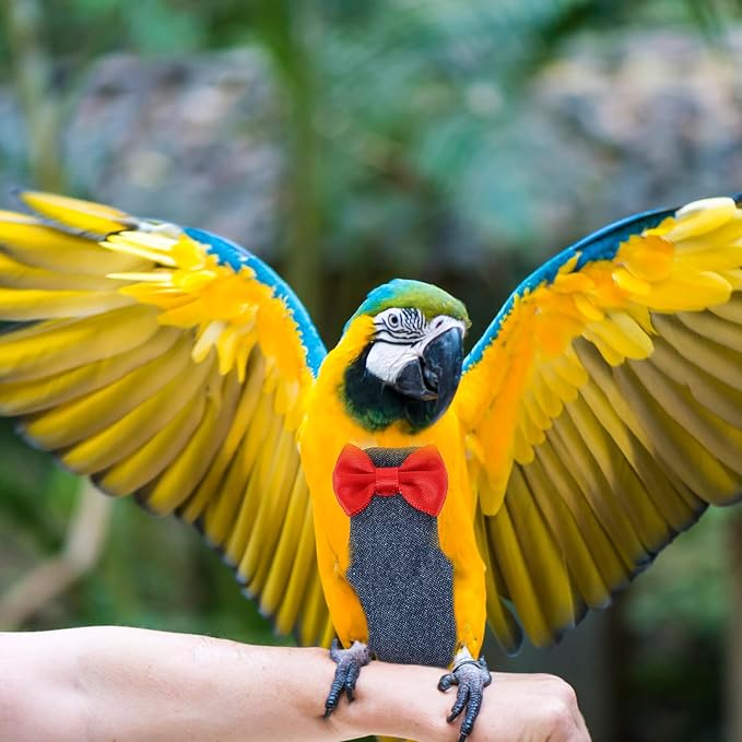 Washable Parrot Flight Suit Bird Diaper with Breathable Cotton Reusable Diapers for Cockatiel and Parakeet Training Outdoor Coverall in Denim