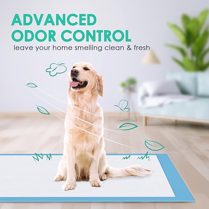 JollyMate Dog Pee Pads Extra Large 30"x36", 30 Pack X-Large Super Absorbent Pet Training Pads with Adhesive Tabs, 6 Layers Thick Leak-Proof Potty Pads for Dogs and Puppies