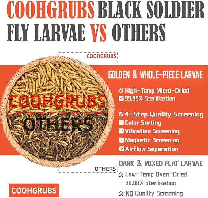 Dried Black Soldier Fly Larvae for Chickens, High-Calcium 85X More Than Mealworms Bird Treats, 5-lb Box