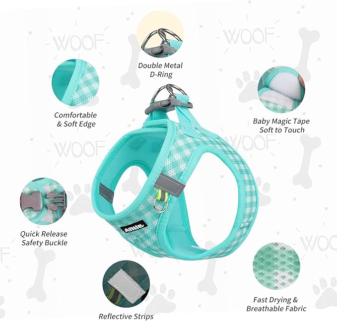 AIITLE Easy Walk Dog Vest Harness and Leash Set, Pet Supply No Pull, Breathable Mesh, Reflective Stripes, Adjustable Escape Proof Pet Outdoor Harnesses for Medium Dogs Turquoise L