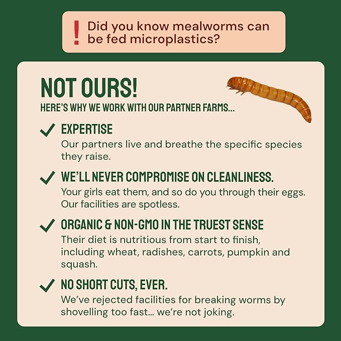 Hatortempt Chicken Feed Dried Mealworms - 5 Lb, Non-GMO & Organic - High-Protein Mealworms for Wild Birds & Ducks, Chicken Treats & Bird Food