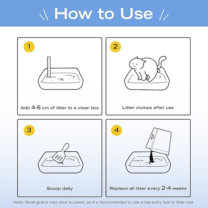 Natural Cat Litter Unscented, 100% Plant-Based, Strong Clumping Litter, Easy Scooping, Clumps Lift Cleanly, Chemical-Free, Low Dust, Corn & Cassava Litter, 5.5 LB x 3 Bags