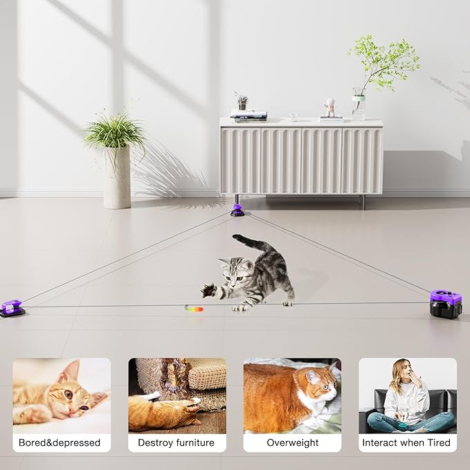 Pet Deluxe Interactive Cat Toys for Indoor Cats, Cat Treadmill Auto/Remote Control DIY Cat Mouse Hunting Toys, Keep Bored Kitten Dog Entertained to Chase, Feather Toy to Exercise Wheel-Purple