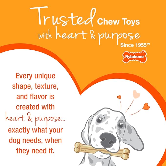 Nylabone Power Chew Classic Bone Chew Toy for Dogs, Durable Dog Toys for Aggressive Chewers, Chicken Flavor, X-Small/Petite - Up to 15 lbs. (1 Count)