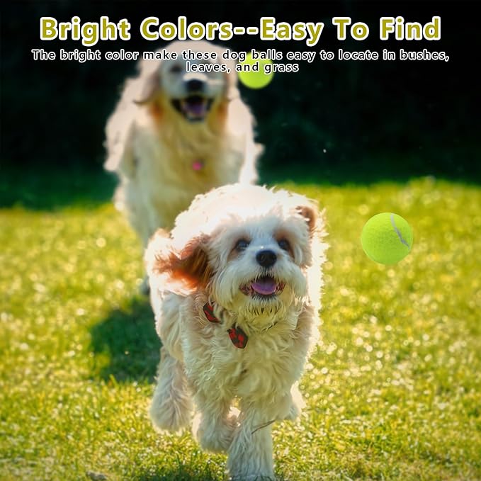 Magicorange Small Tennis Balls, 60 Pack 2 inch Tennis Balls for Dogs, Colorful Easy Catching Pet Dog Playing Ball (Multicolor)