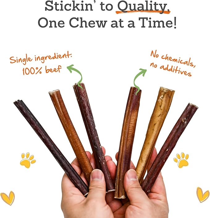Advance Pet Products Bully Sticks for Dogs, 6 Inch Chews, Natural Long-Lasting Dog Treats, 100 Count Bulk Pack