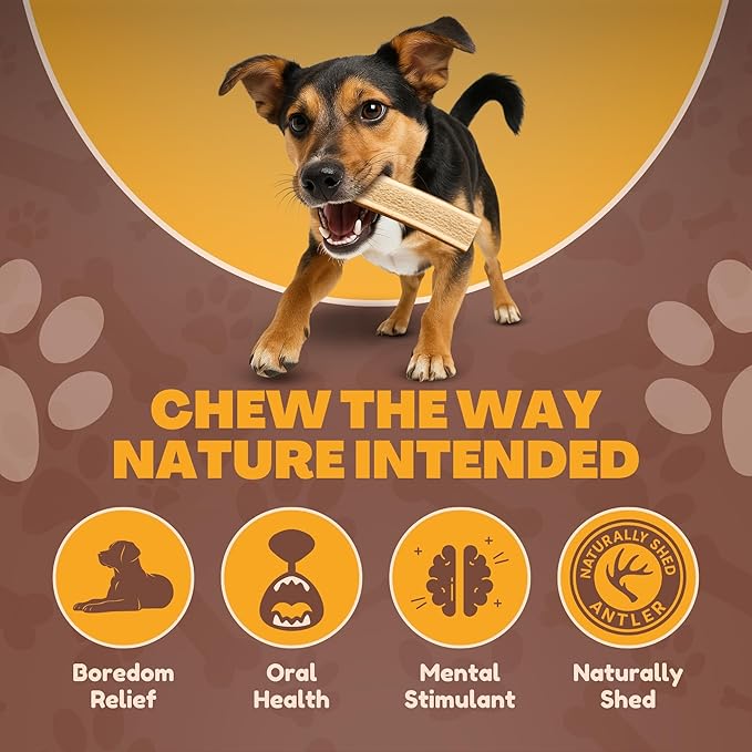 WhiteTail Naturals - Premium Split Elk Antlers for Dogs - (3 Pack Small to Medium) - All Natural, Dog Chew Bones - Naturally Shed, Cruelty-Free, Antler Chews