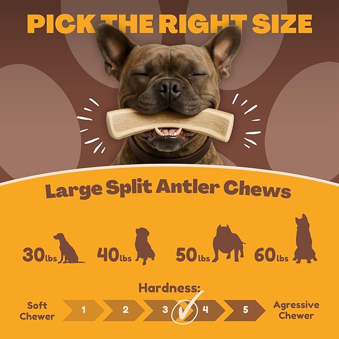 WhiteTail Naturals Dog Chews - Split Elk Antlers for Large Dogs, Agressive Chewers - Antler Dog Bones - Long Lasting Naturally Shed Deer Horns