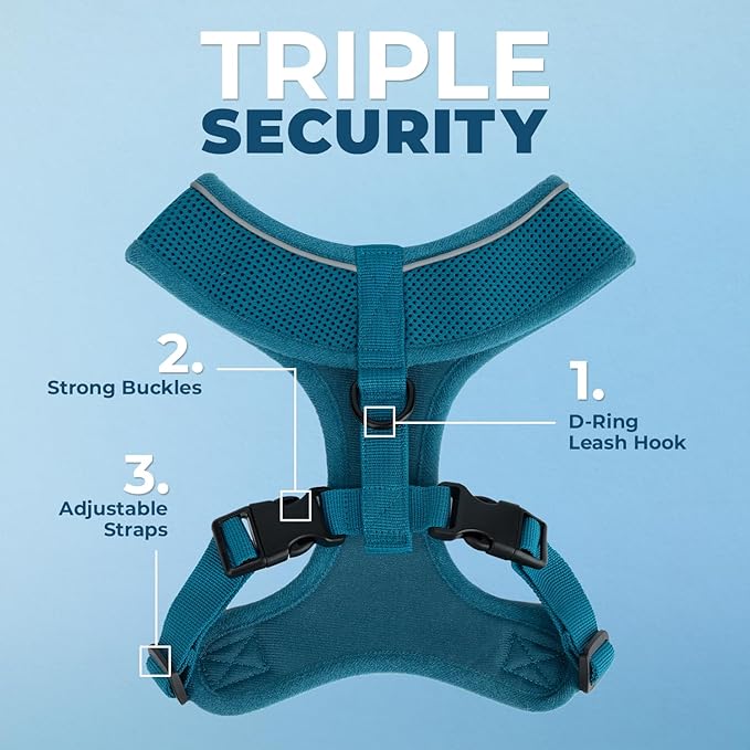 Best Pet Supplies Voyager Mesh Dog Breathable Harness Reflective Stitching, All Weather Adjustable for Walking Training, or Running - Heavy Duty & Durable, 220 Style (Turquoise), M
