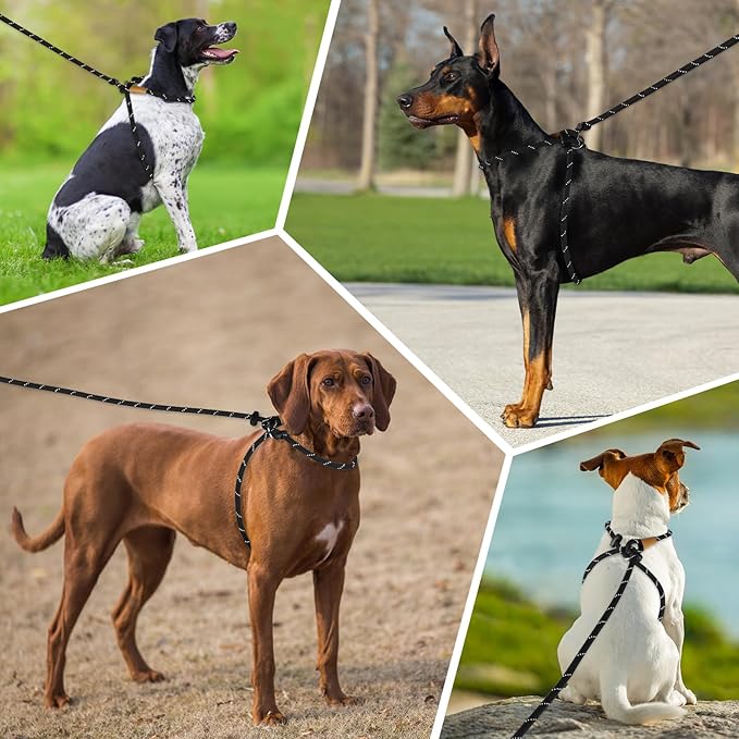 Lynxking No Pull Rope Dog Harness No Pull Reflective Leash Harness Collar 3 in 1 Dog Halter Harnesses Adjustable for Large Giant Dog (Black, Extra Large(up to 80Ibs) 10ft*1/2")