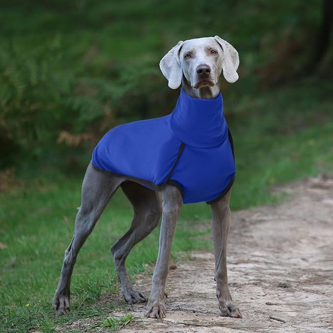 ROZKITCH Dog Fleece Pajamas with Leash Hole, Pet Windproof Warm Cold Weather Jacket Vest Cozy Jumpsuit Apparel Outfit Clothes for Walking Hiking Travel Sleep Blue L