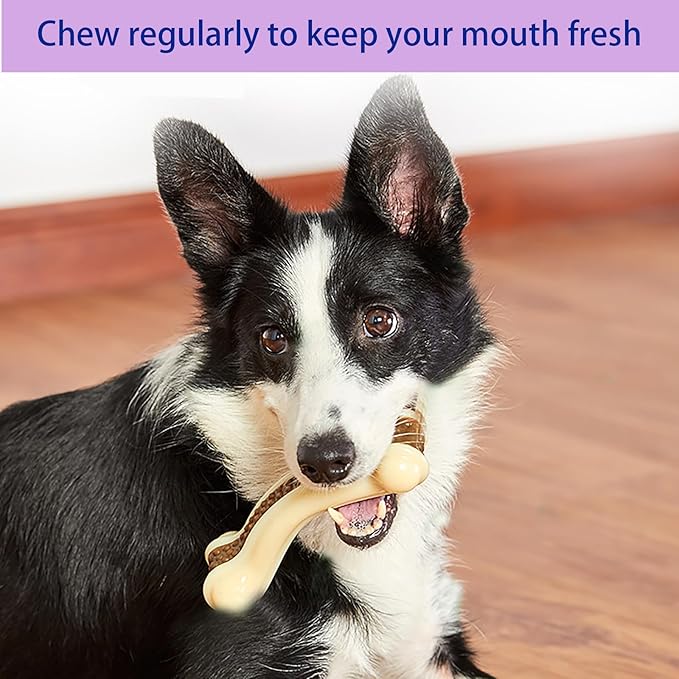 Dog Bones Chew Toys for Aggressive Chewers, 2 Pack Real Beef Flavor,Indestructible Teething Chew Toys for Large/Medium/Small Breed,Tough Toy with Durable Nylon
