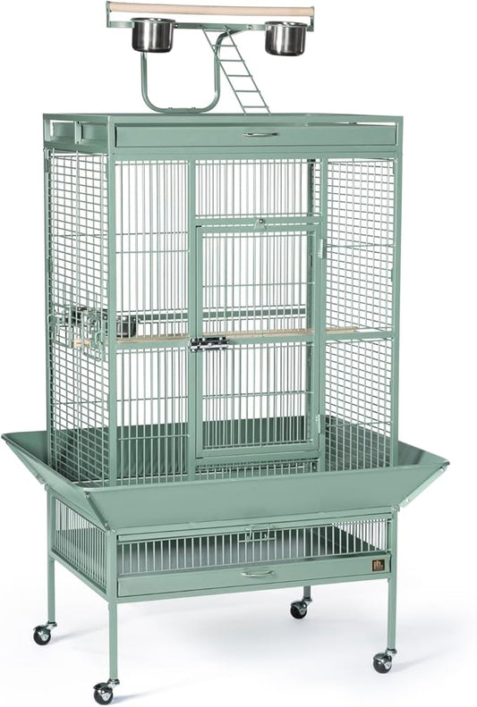 Suburban Sophistication Playtop Bird Home with Spacious Design, Durable Materials, Removable Perches Medium/Sage Green