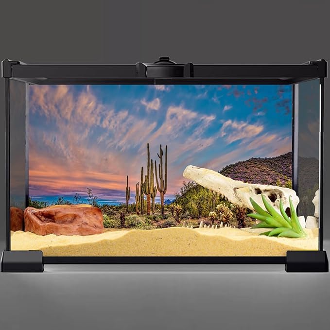 AWERT 72x24 inches Terrarium Background Blue Sky Cloud Huge Cactus Oasis Gobi Reptile Habitat Background Vinyl