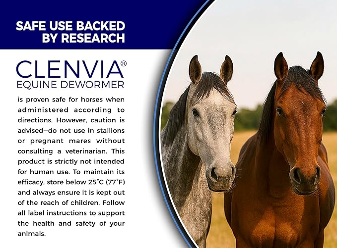 Horse Paste 10% – 4 Pack – 25g Syringes – Oral Deworming Paste for Horses of All Ages – Easy-to-Administer Equine Care