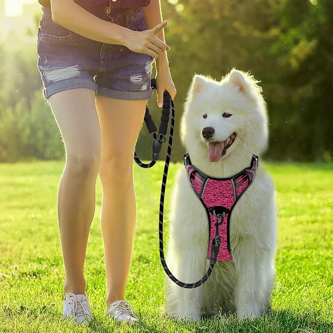 BARKBAY Dog Harness No Pull with ID Tag Pocket - Heavy Duty, Reflective, Easy Control for Small Dogs(Pink/Black,S)