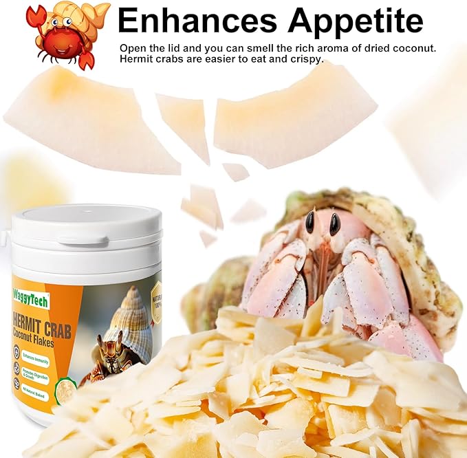 Hermit Crab Food - Baked Coconut Treat, Natural Dried Coconut for Crab Healthy & Additive Free, Easily Digestible Hermit Food Hermit - Ideal Crab Pet Snacks, Crispy & Delicious | 60g (Big)