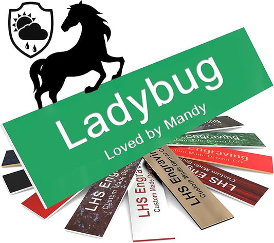 Horse Stall Name Plate, 2x10 Personalized Stall Signs, UV Protected, All Weather Adhesive, Hanging, Mounting or Other, Green Plastic with White Letters - Made in USA - B6