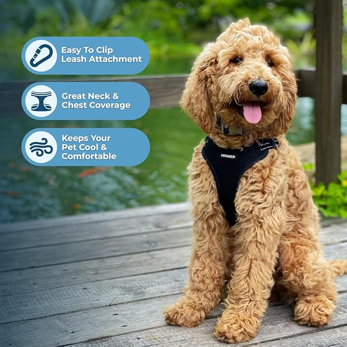 Best Pet Supplies Voyager Mesh Dog Breathable Harness Reflective Stitching, All Weather Adjustable for Walking Training, or Running - Heavy Duty & Durable, Harness (Black), XS