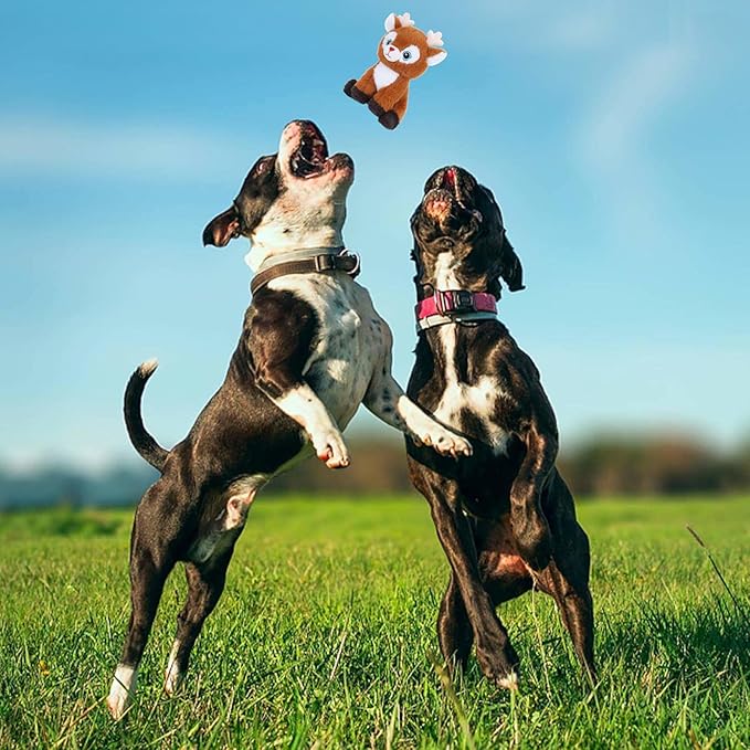 Dog Toys to Keep Them Busy Squeaky Dog Toys Interactive Plush Puppy Toys with Squeaker for Large Medium Small Breed Doys