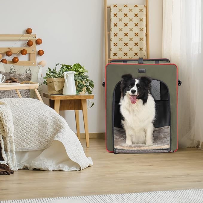 PETSFIT Collapsible Dog Crate, Portable Dog Crate - 31 Inch with Thicken Mat, Easy to Fold, Sturdy and Portable, Perfect for Traveling, Dog Travel Kennel Army Green