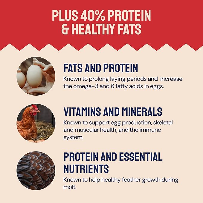 Hatortempt Black Soldier Fly Larvae for Chickens - 5 lb Pack of 1 - Protein Boost & High Protein Chicken Feed - 4% Calcium Treats & Reptile Calcium - Non-GMO Organic Grubs & Bird Feed