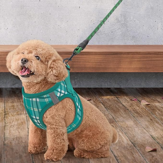 Athena Collection Small Dog Harness with 5 ft Leash, Step-in Dog Harness Leash Set Extra Small No Pull Dog Vest Harness with Reflective Strips Adjustable Velcro, Easy Walk Puppy Harness, Green