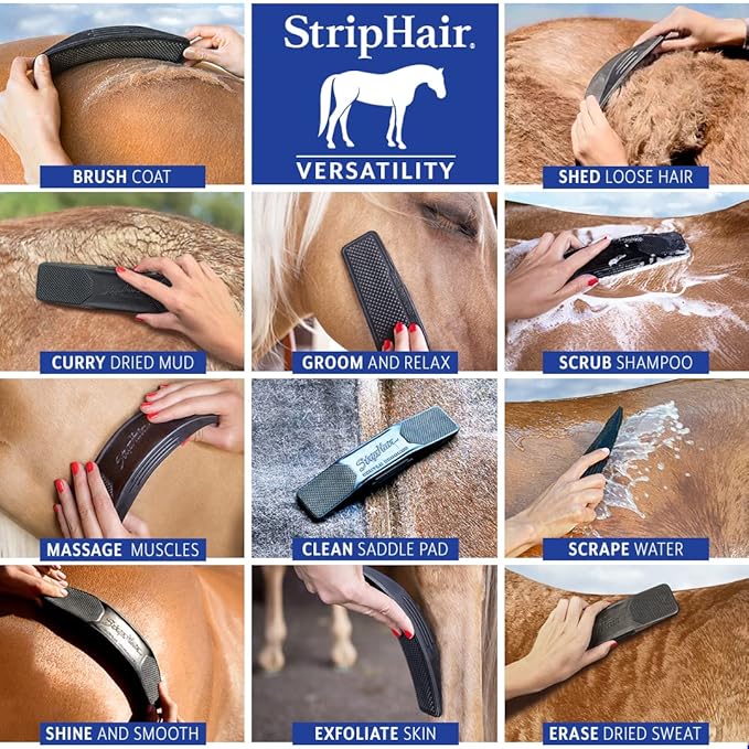 StripHair Horse Dog Grooming Set 2pc - Gentle Groomer 6-in-1 Shedding Massage Brush (original black) and Bamboo Coat Care Wipes (12x12in)