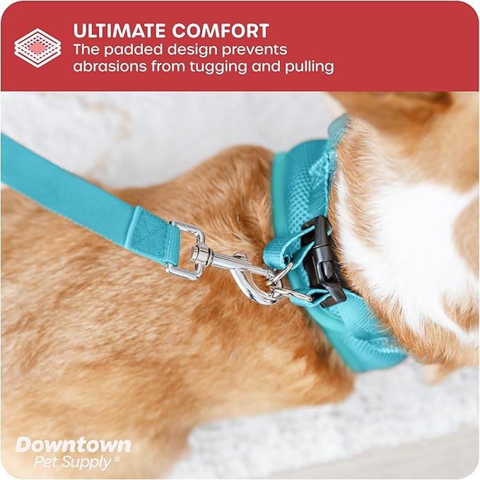 Downtown Pet Supply Step-in Dog Harness – No Pull, Adjustable Padded Mesh with Reflective Trim, Secure Buckle Strap – Comfortable & Breathable Small Dog Harness, Medium, Light Blue