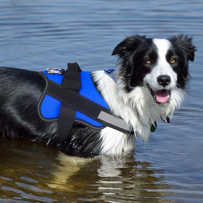 Bolux Dog Harness, No-Pull Reflective Dog Vest, Breathable Adjustable Pet Harness with Handle for Outdoor Walking - No More Pulling, Tugging or Choking (Blue, XXL)