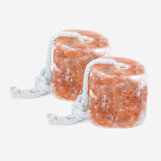 RESISTANCE Himalayan Salt Lick 2lb Block on Rope for Horses, Cattle, Deer, Goats, and Livestock – Pack of 2 Blocks