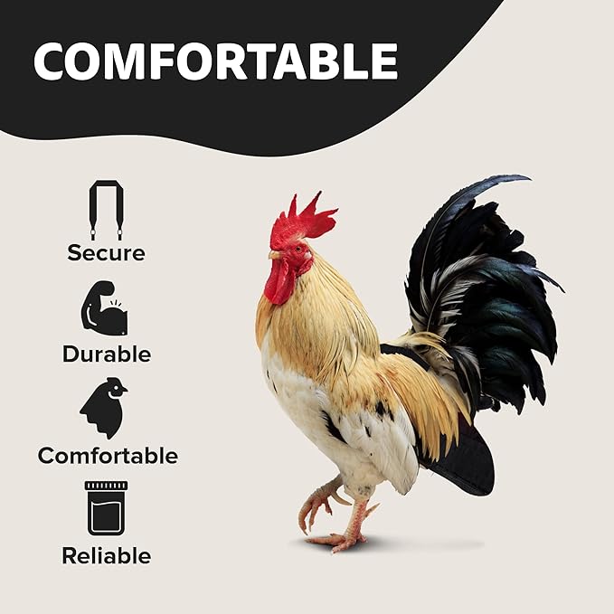 Hen Holster Wrap-Around Bird Diaper & Harness for Hens, Roosters, Ducks, Geese - with Removable Vinyl Liner, Adjustable Fit for Outdoor Adventures & Indoor Use - Easy to wear - XL, Black