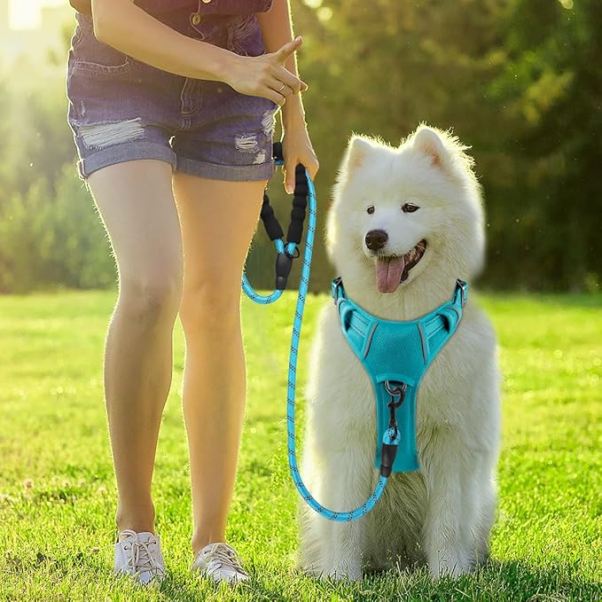BARKBAY Dog Harness No Pull with ID Tag Pocket - Heavy Duty, Reflective, Easy Control for Small Dogs(Ocean Blue,S)
