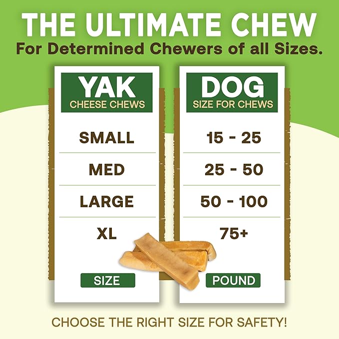 EcoKind Premium Gold Yak Cheese Himalayan Dog Chews, Healthy Dog Treats for Medium Dogs, All Natural, High Protein Dog Chew, Water Buffalo, Medium - 6 Chews
