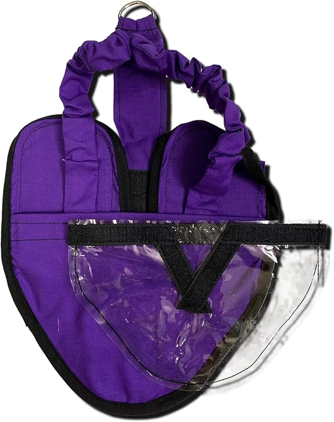 Hen Holster Wrap-Around Bird Diaper & Harness for Hens, Roosters, Ducks, Geese - with Removable Vinyl Liner, Adjustable Fit for Outdoor Adventures & Indoor Use - Easy to wear - Large, Purple